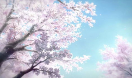 动漫樱花网,盘点热门作品与经典瞬间